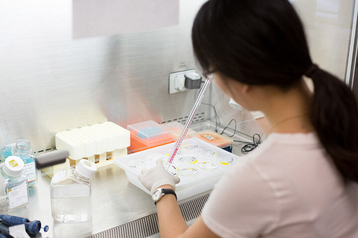 An IU School of Medicine student in a medical research lab.